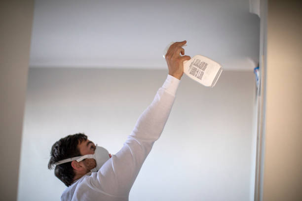 Best Mold Damage Repair  in Taylor Lake Village, TX